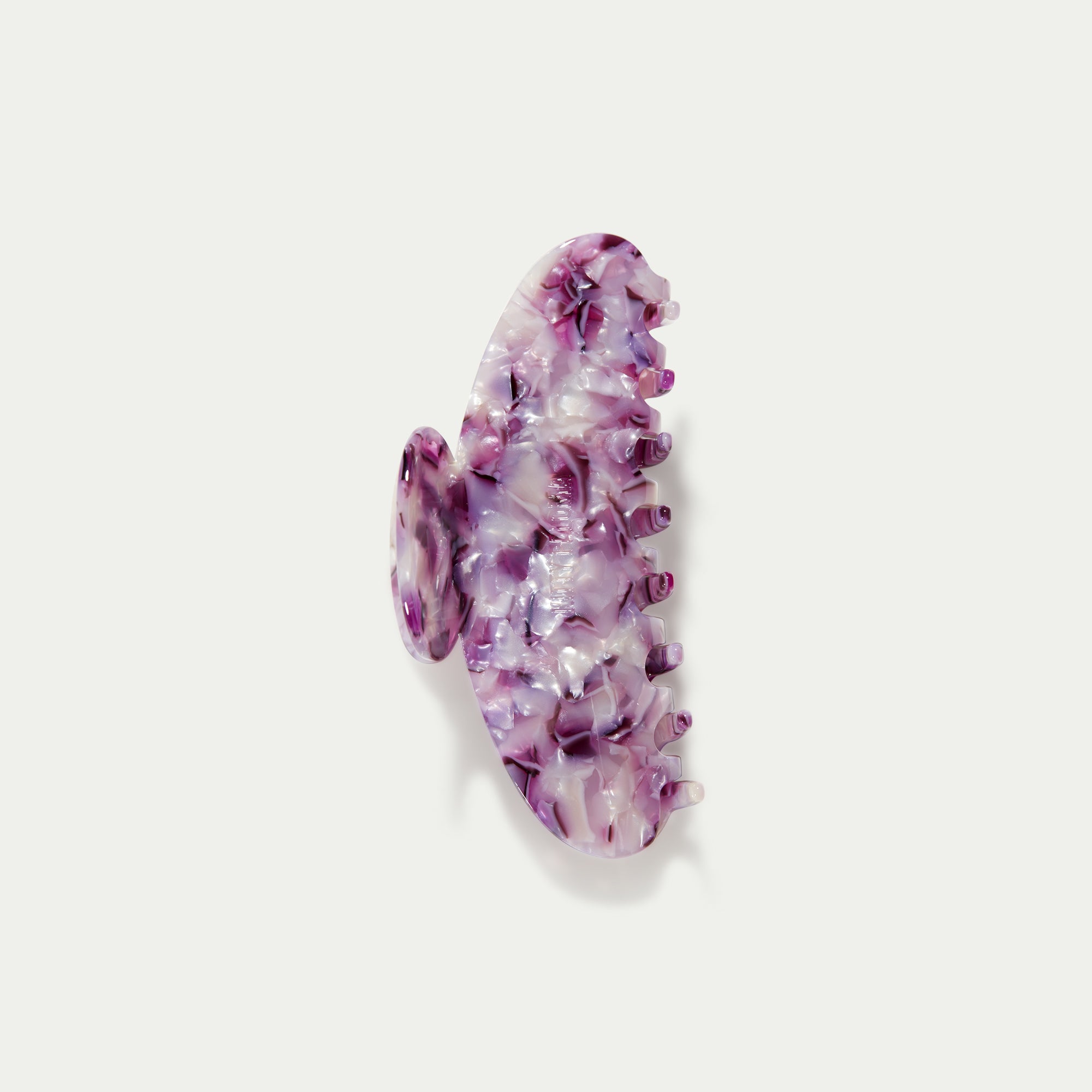 Grande Orchid
